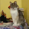 Отзыв от Ирина Вешнякова
